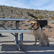 Camping day