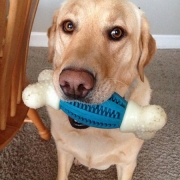 I want to play!