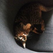 Play time