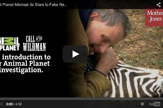 Animal Planet TV animal mistreat