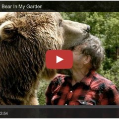 Grizzly Bear as a pet