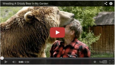 Grizzly Bear as a pet