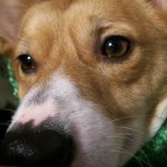 Profile picture of Bree
